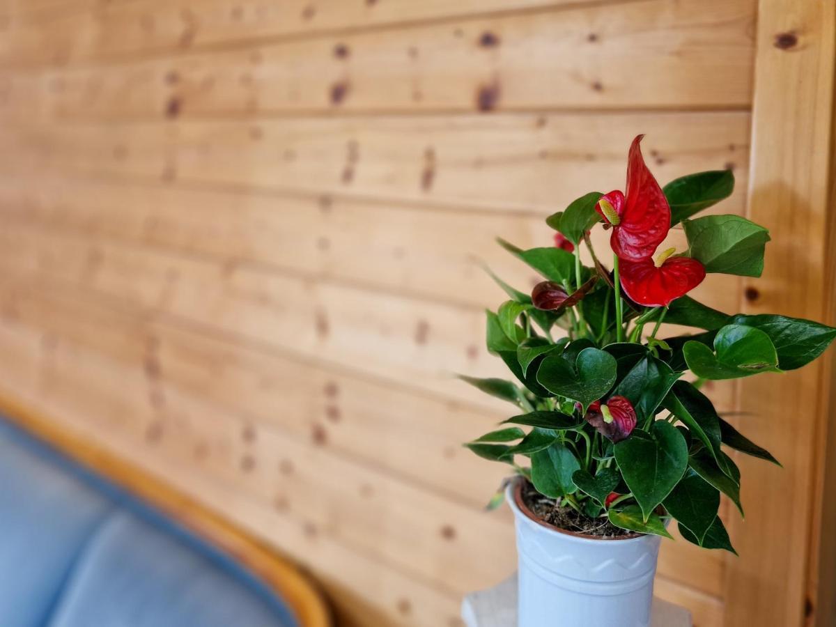 Ferien Vom Ich, Bayerischer Wald, Hotel & Restaurant Neukirchen  المظهر الخارجي الصورة