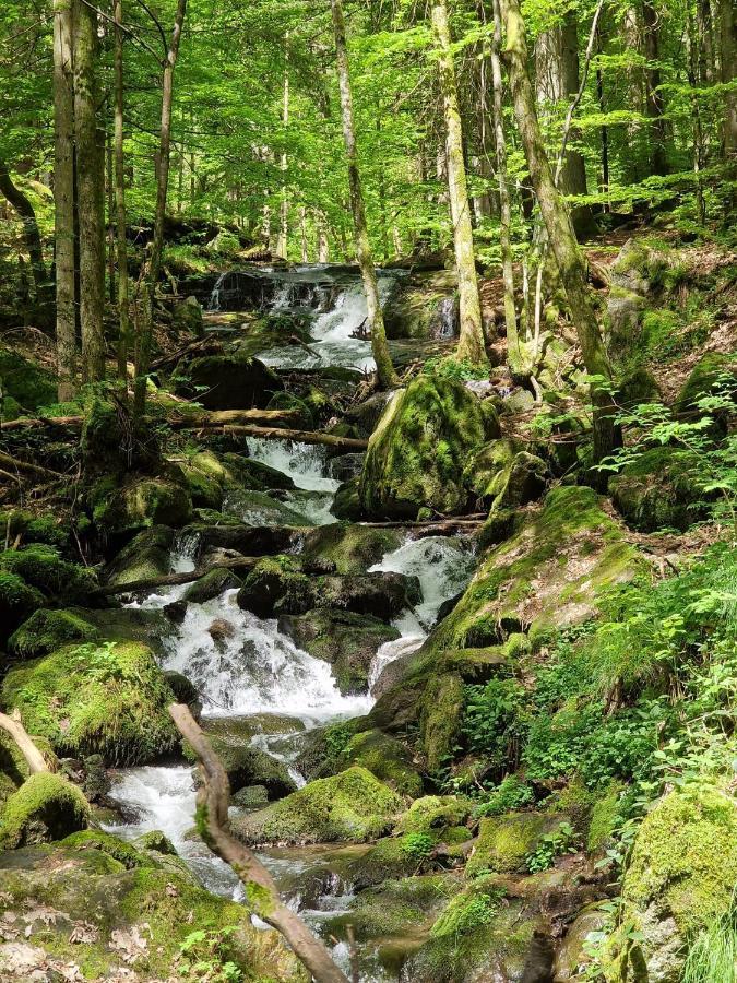 Ferien Vom Ich, Bayerischer Wald, Hotel & Restaurant Neukirchen  المظهر الخارجي الصورة