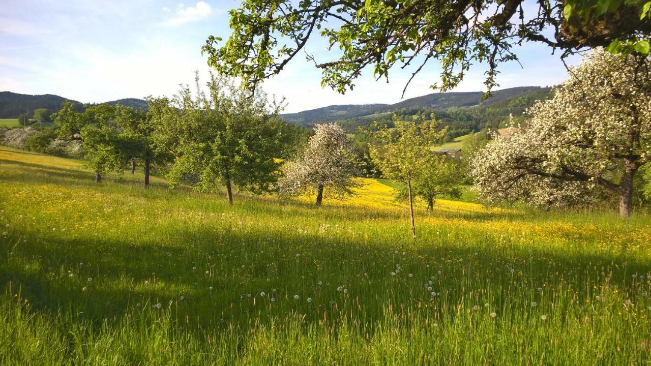 Ferien Vom Ich, Bayerischer Wald, Hotel & Restaurant Neukirchen  المظهر الخارجي الصورة