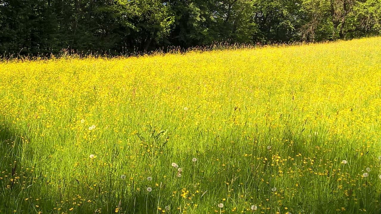 Ferien Vom Ich, Bayerischer Wald, Hotel & Restaurant Neukirchen  المظهر الخارجي الصورة