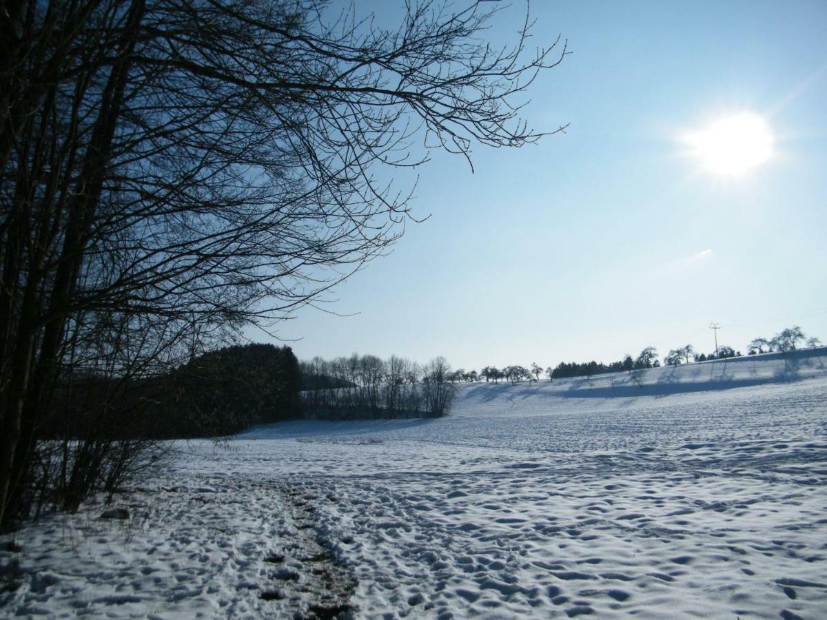 Ferien Vom Ich, Bayerischer Wald, Hotel & Restaurant Neukirchen  المظهر الخارجي الصورة