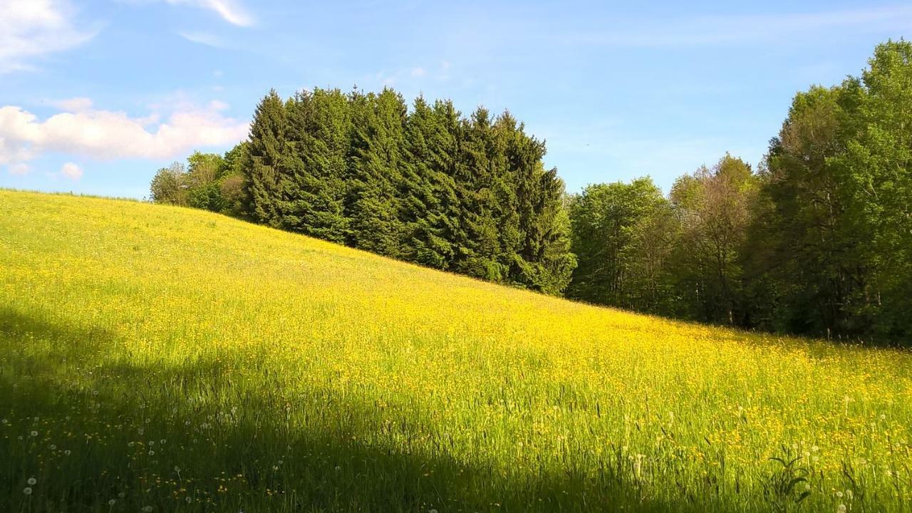 Ferien Vom Ich, Bayerischer Wald, Hotel & Restaurant Neukirchen  المظهر الخارجي الصورة