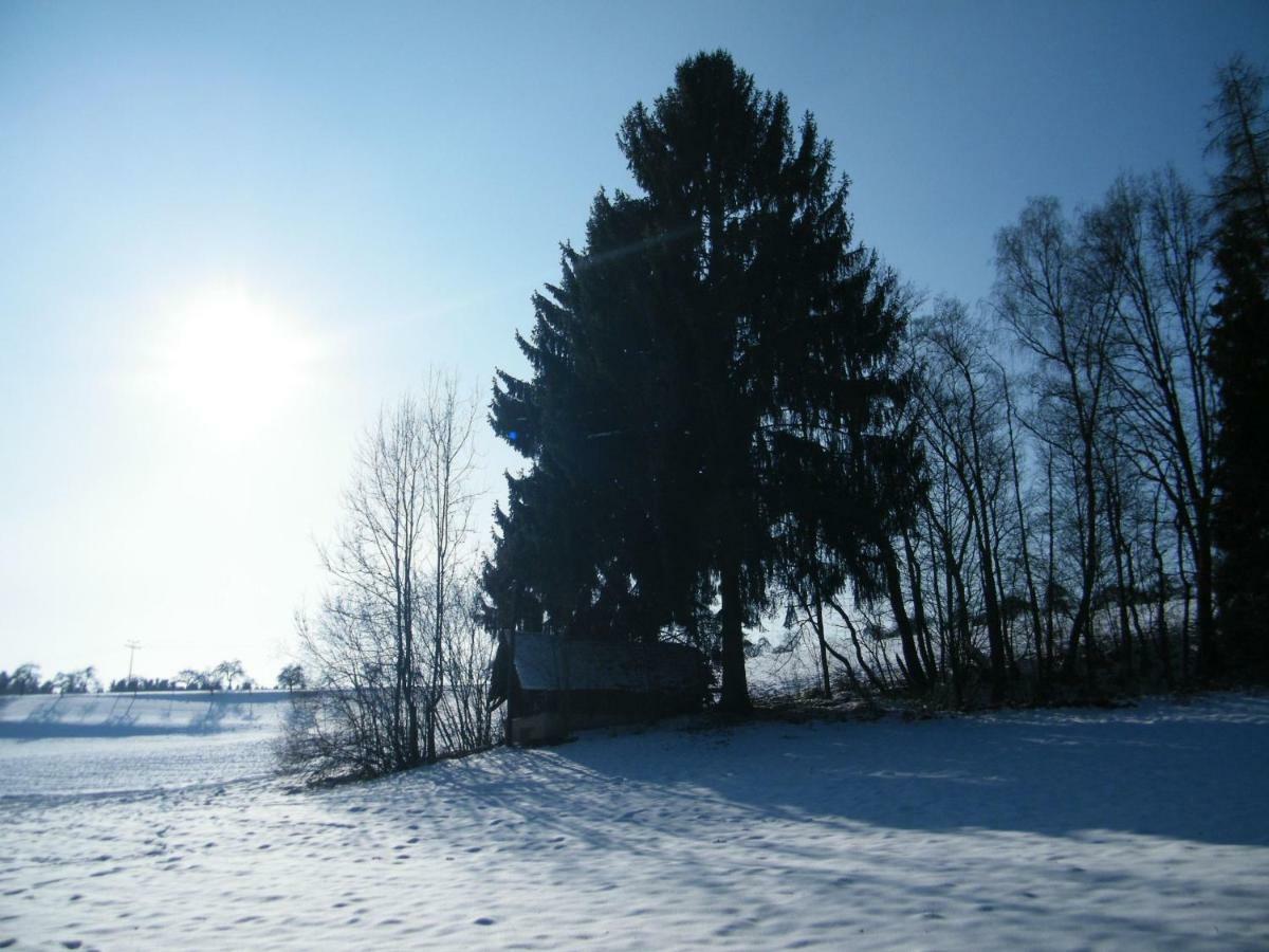 Ferien Vom Ich, Bayerischer Wald, Hotel & Restaurant Neukirchen  المظهر الخارجي الصورة